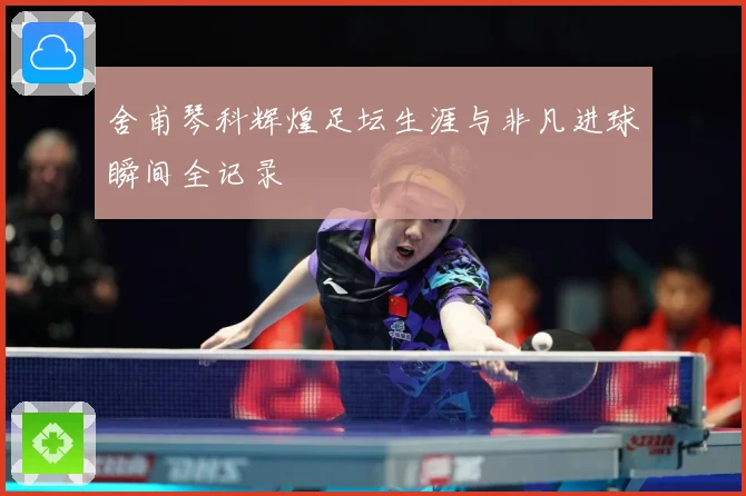 舍甫琴科辉煌足坛生涯与非凡进球瞬间全记录